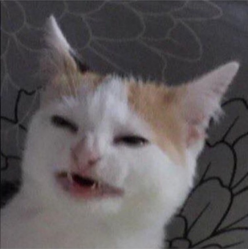 Virtual's profile picture