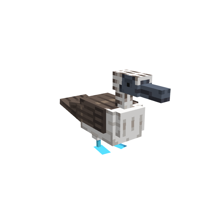 Booby (blue footed), voxel model preview