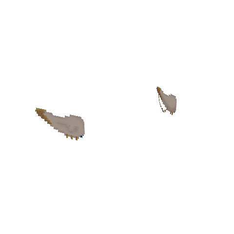 Melionea Ears, voxel model preview