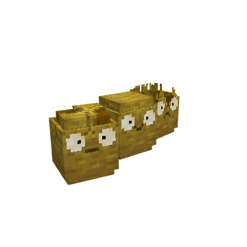 Wall Nut All Stages, voxel model preview