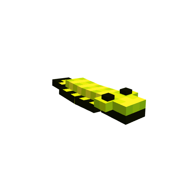 Pseudoceros Dimidiatus Flat Worm, voxel model preview