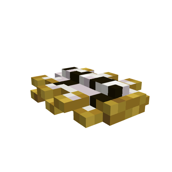Pseudoceros Scriptus, voxel model preview