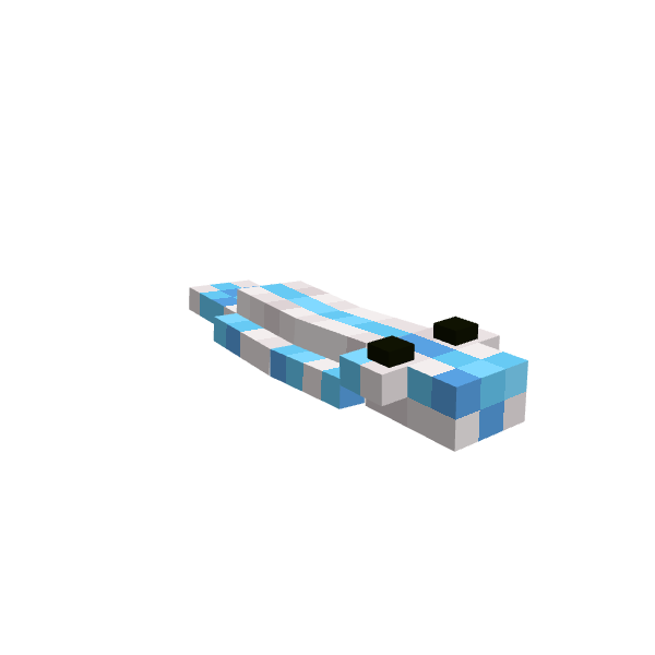 Pseudoceros Monostichos Flat Worm, voxel model preview