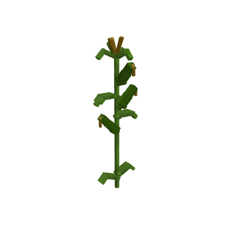 Soichiro'S Series Corn, voxel model preview